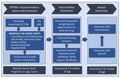 Effect of the SPRING home visits intervention on early child development and growth in rural India and Pakistan: parallel cluster randomised controlled trials